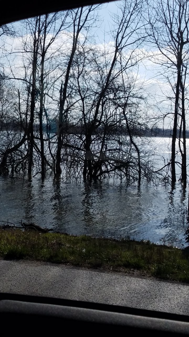 20190321_094024.jpg