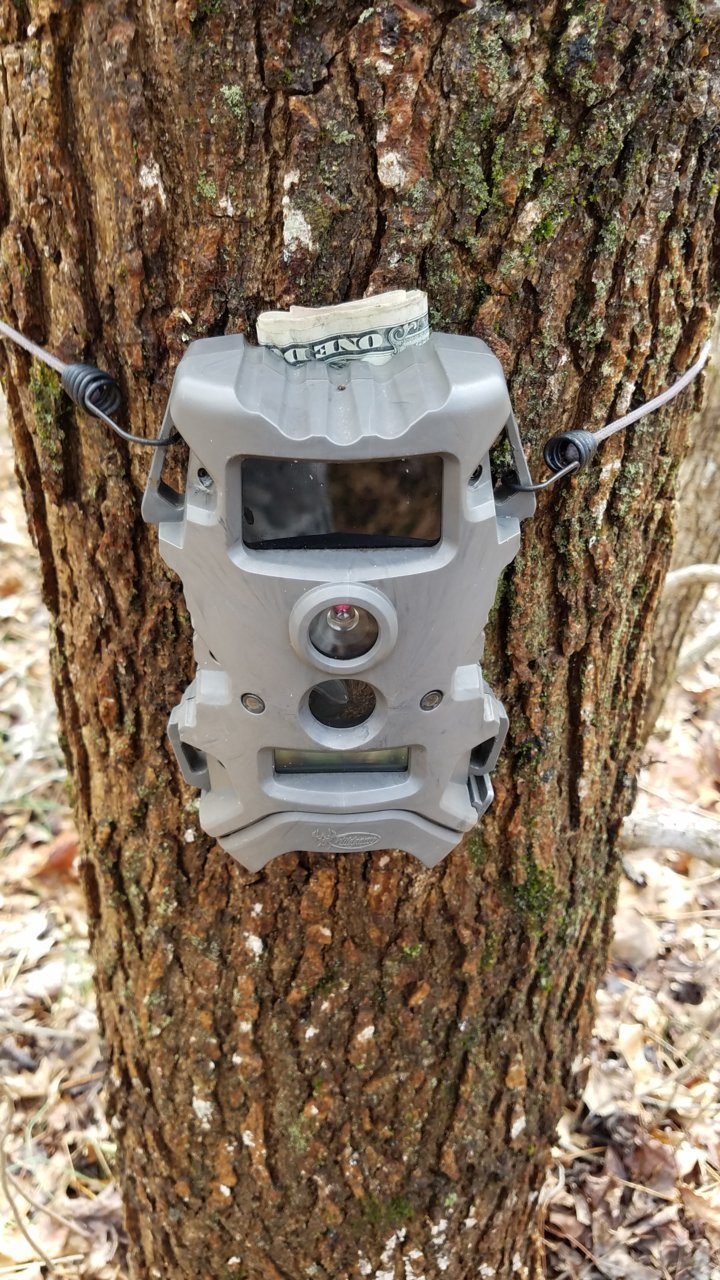 20190321_101322.jpg