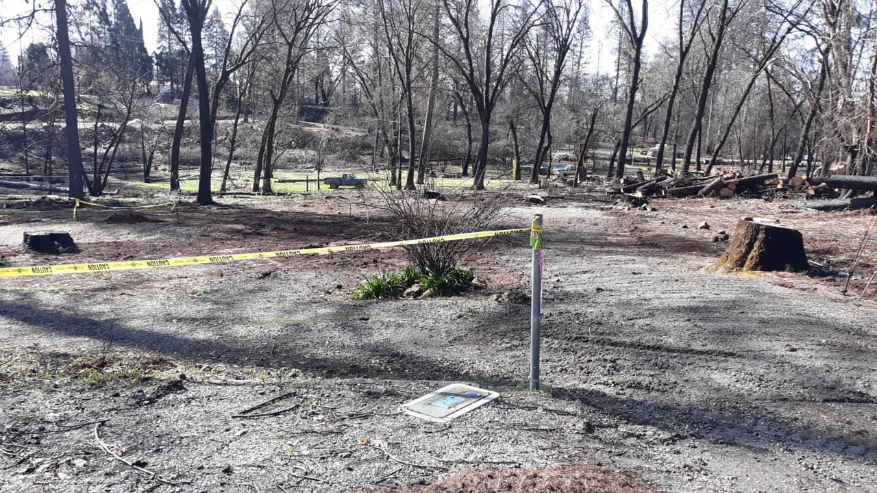 20190321_103459.jpg