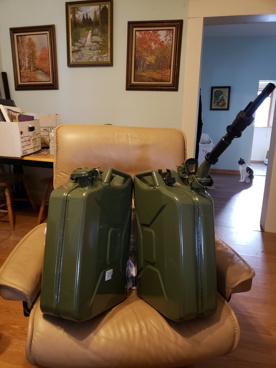 20190321_182447.jpg