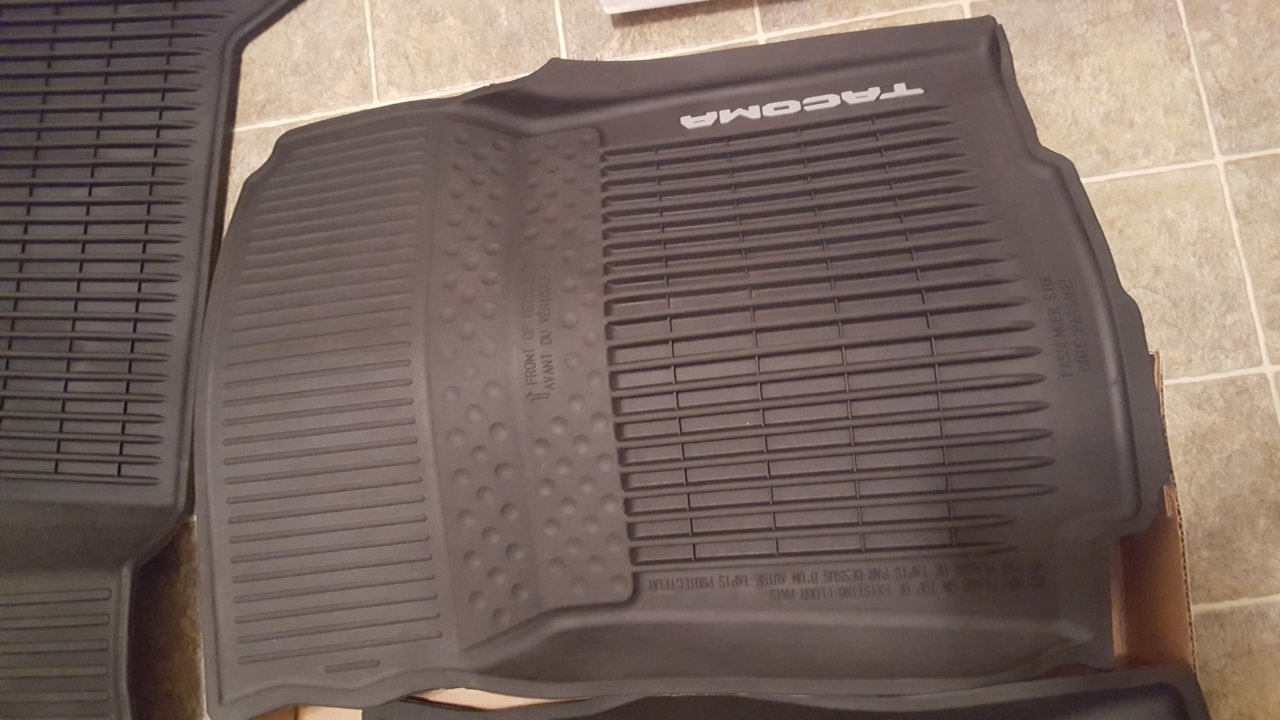 20190321_191803.jpg
