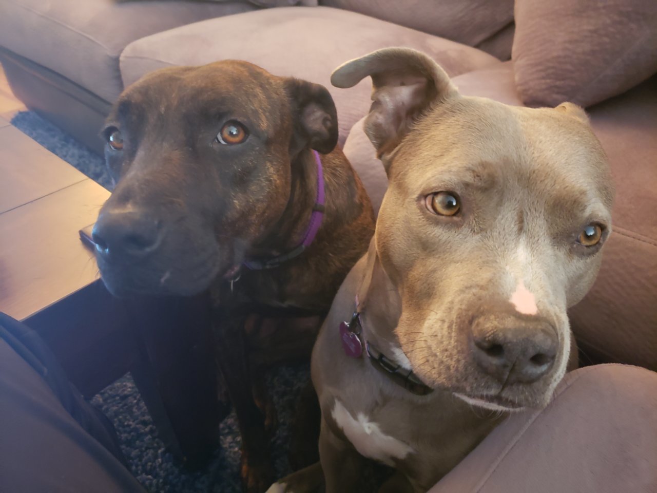 20190322_084416.jpg