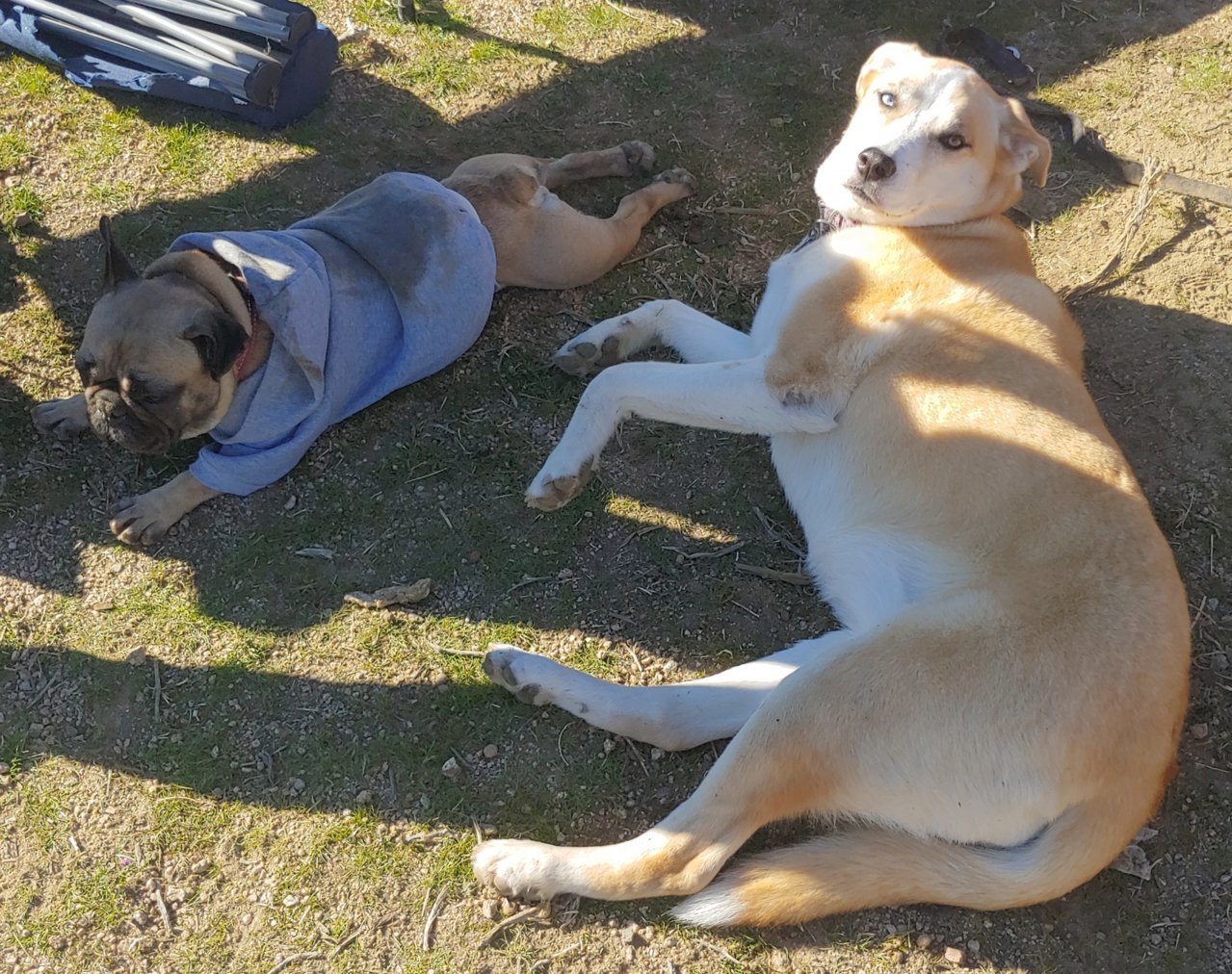 20190322_091415_HDR(1).jpg