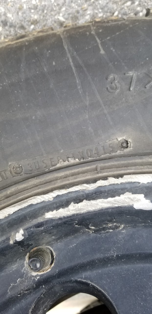 20190322_133356.jpg