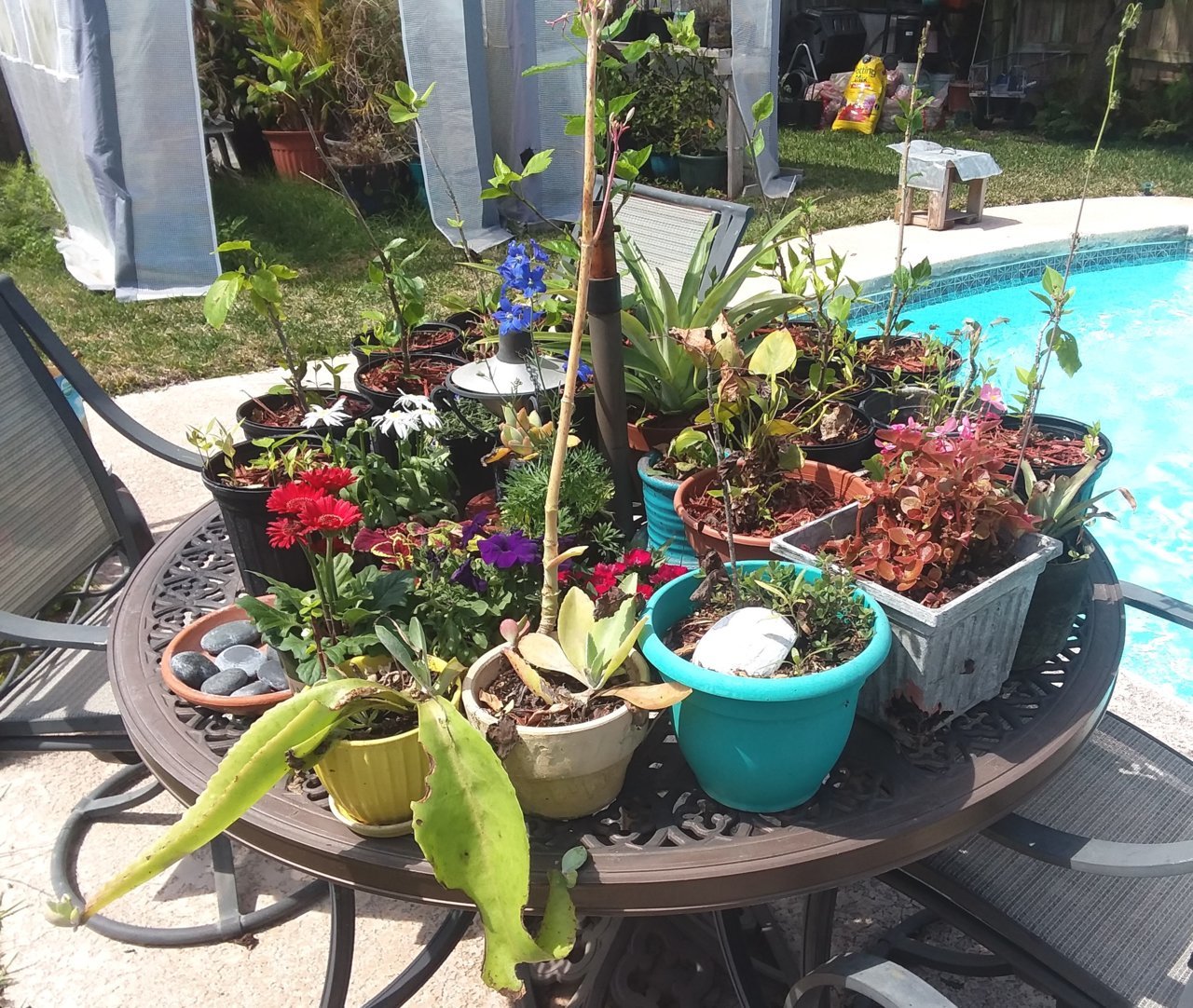 20190322_141251.jpg