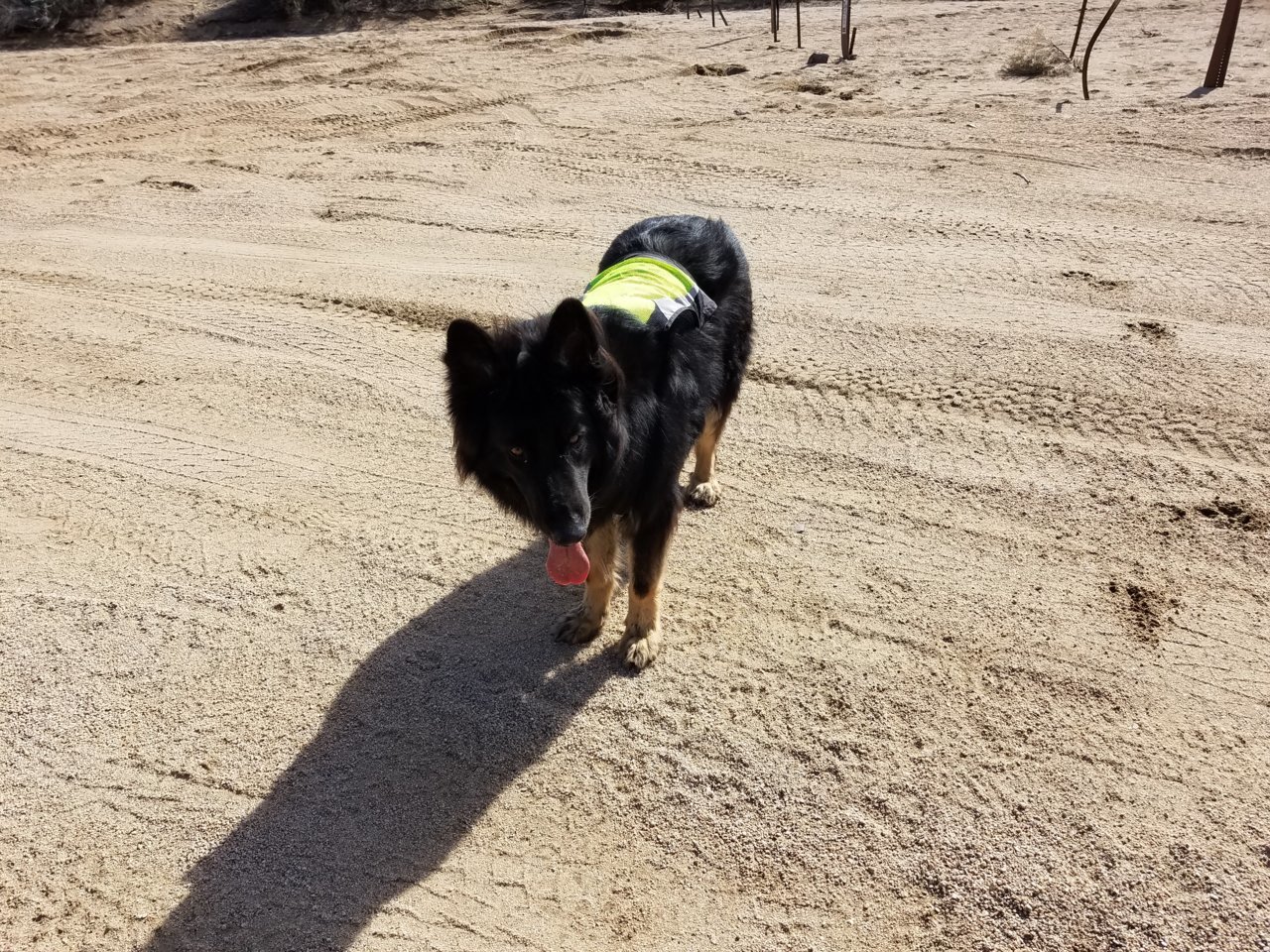20190322_152257.jpg