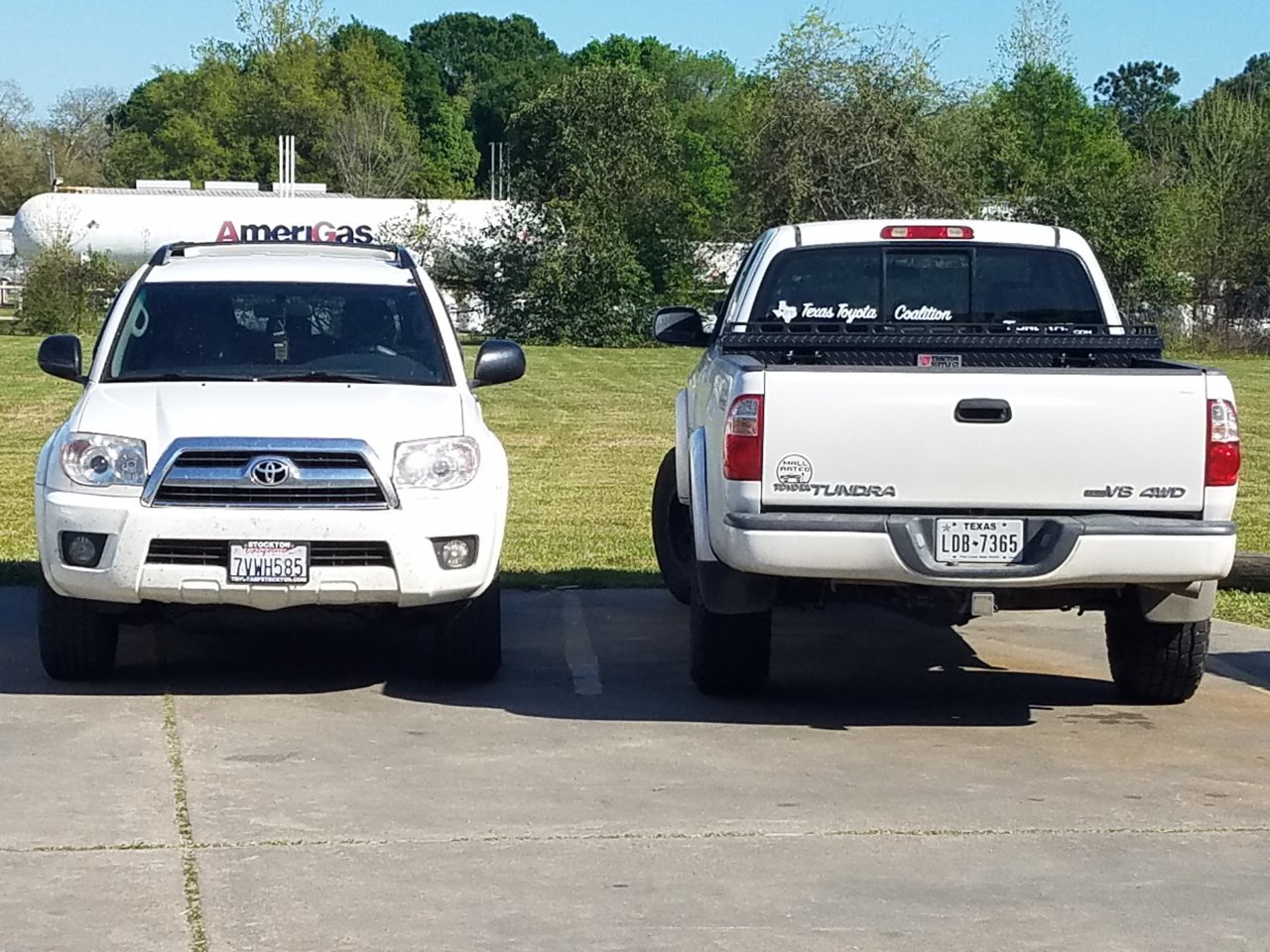 20190322_162054.jpg