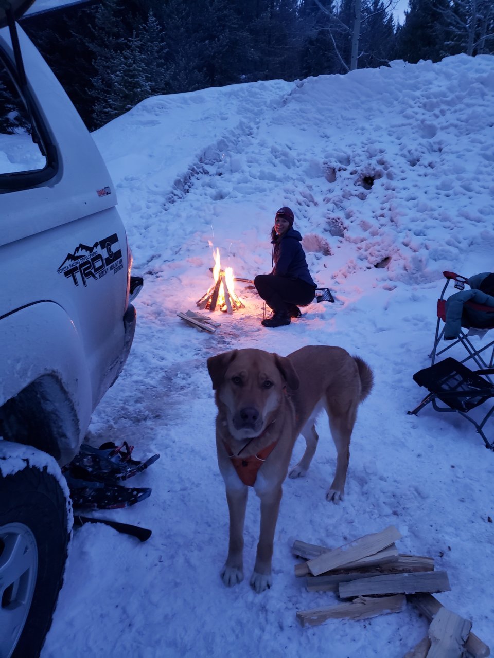 20190322_193124.jpg