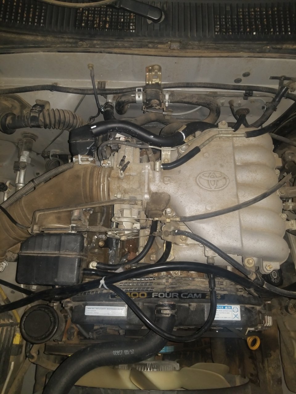 20190322_195546.jpg