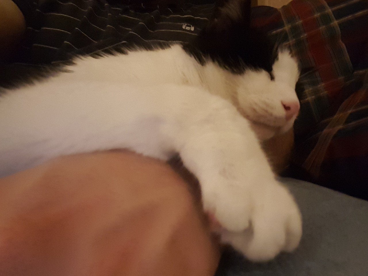 20190322_215315_1_1.jpg