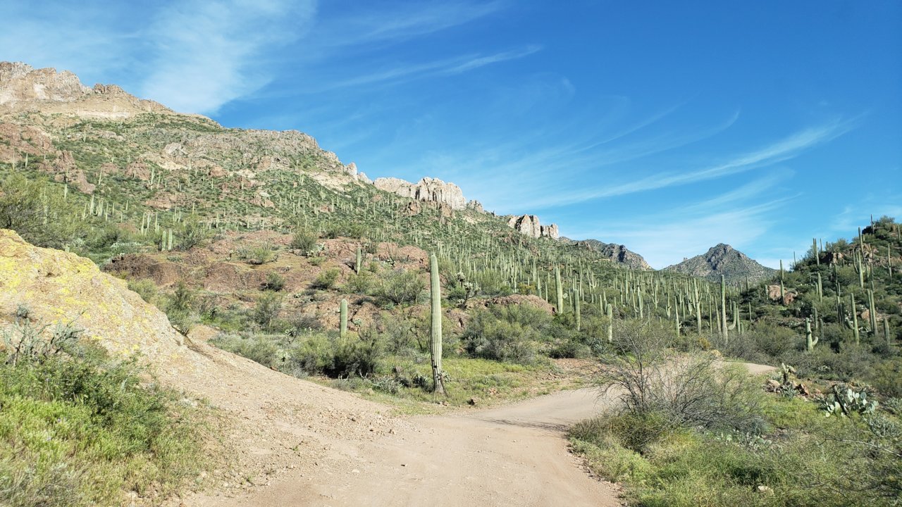 20190323_084008.jpg