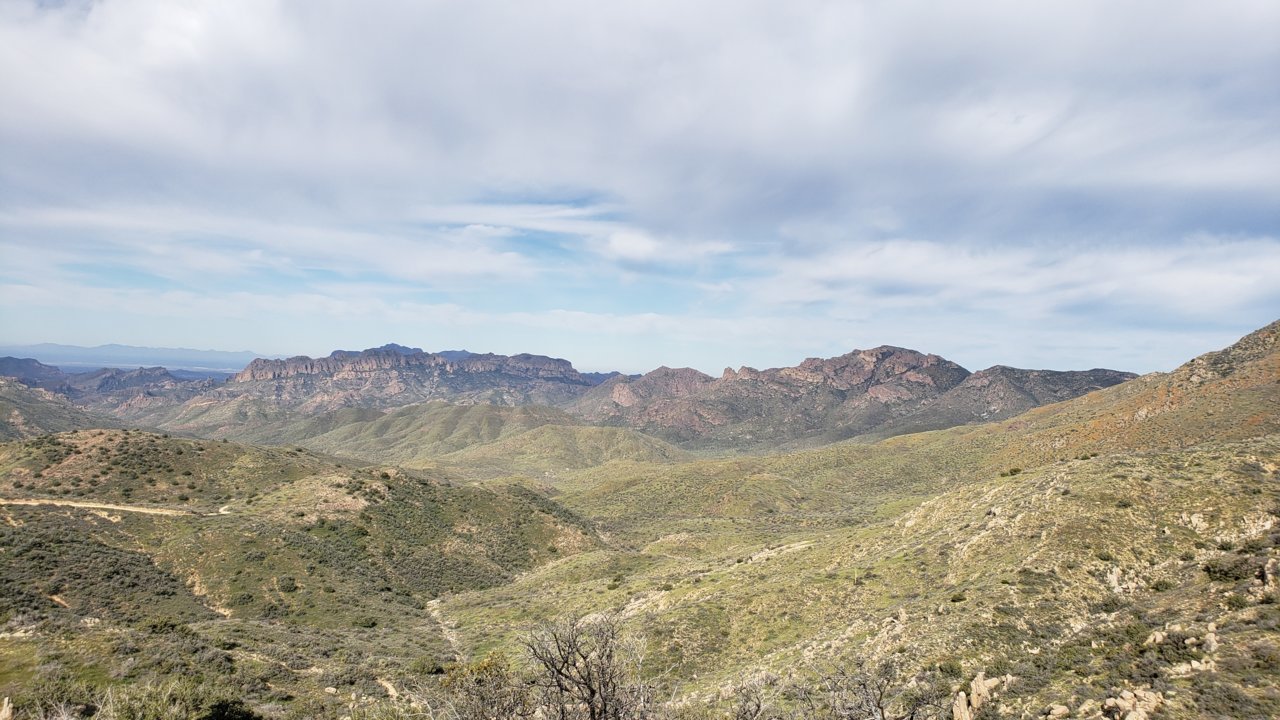 20190323_090806.jpg