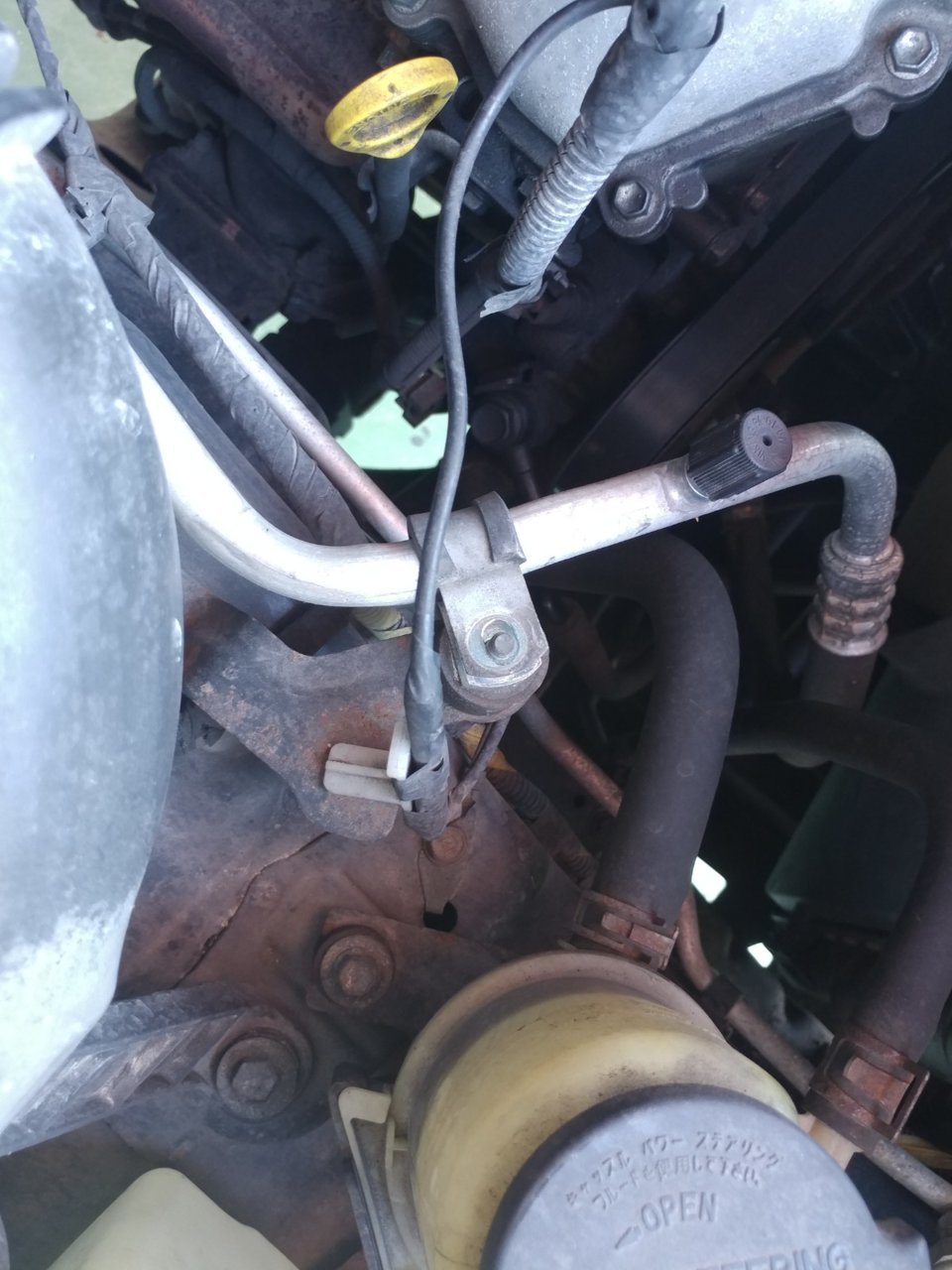 20190323_100403[1].jpg