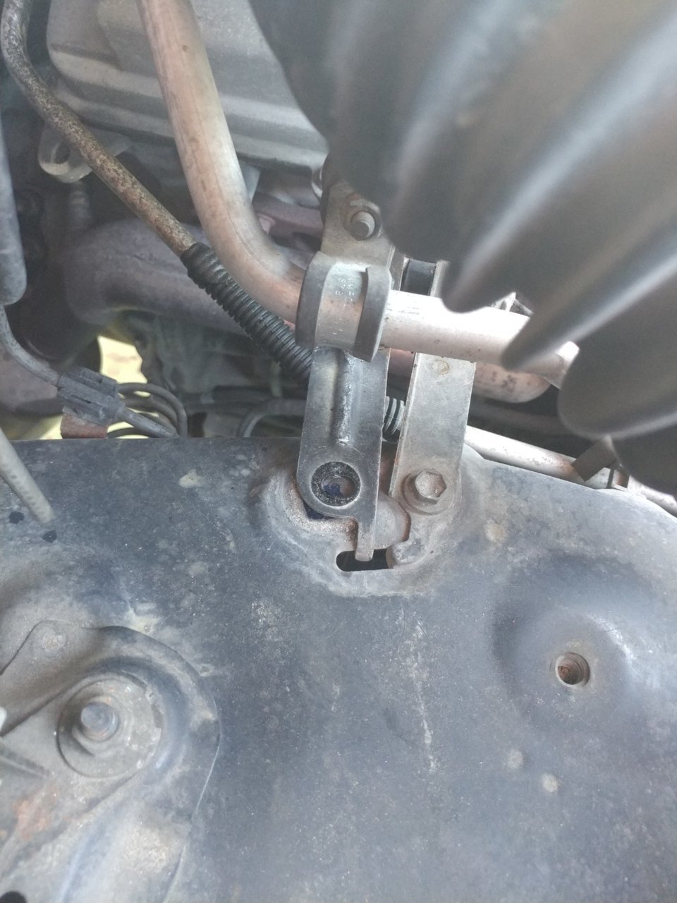 20190323_100406[1].jpg