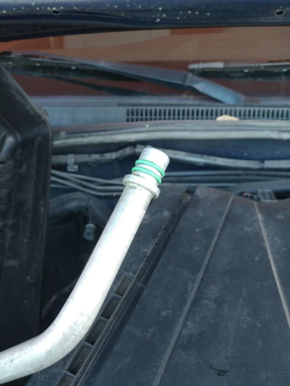 20190323_101002[1].jpg