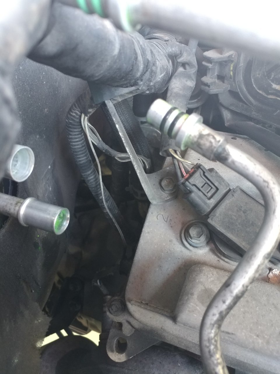 20190323_101344[1].jpg