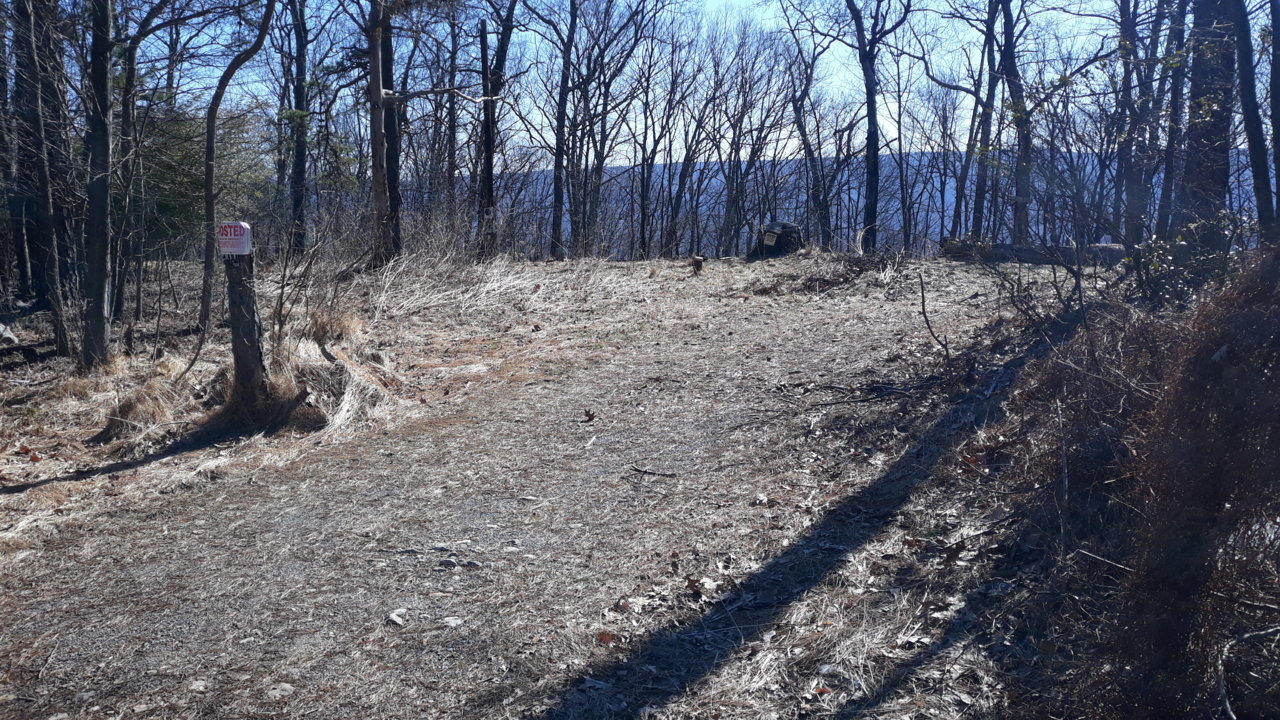 20190323_104738.jpg