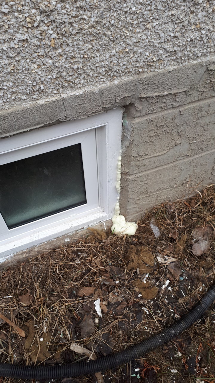 20190323_104817.jpg
