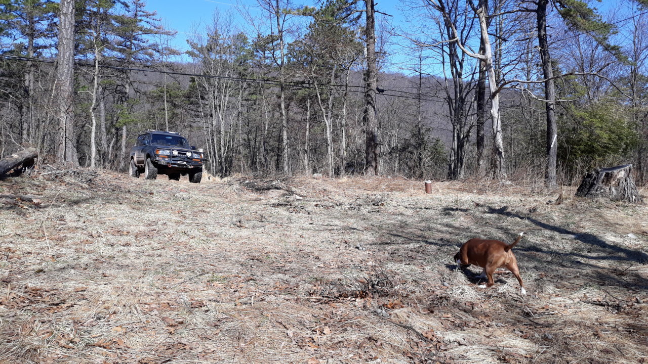 20190323_105323.jpg