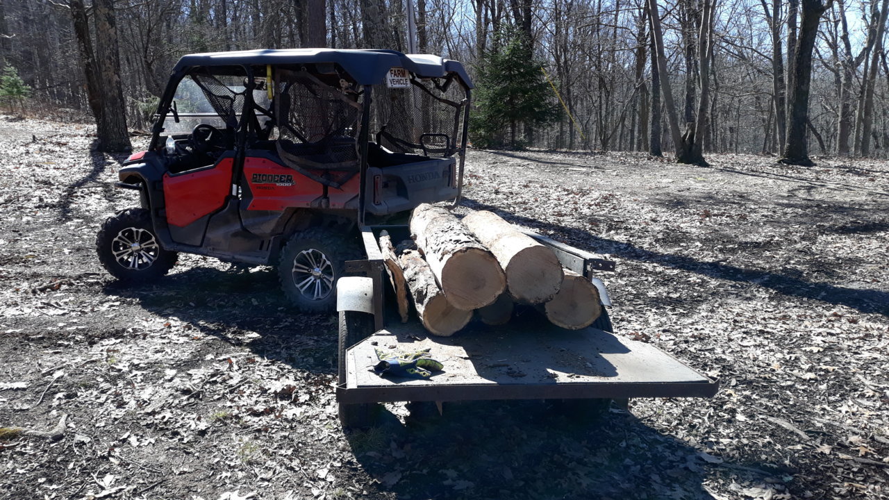 20190323_121716.jpg