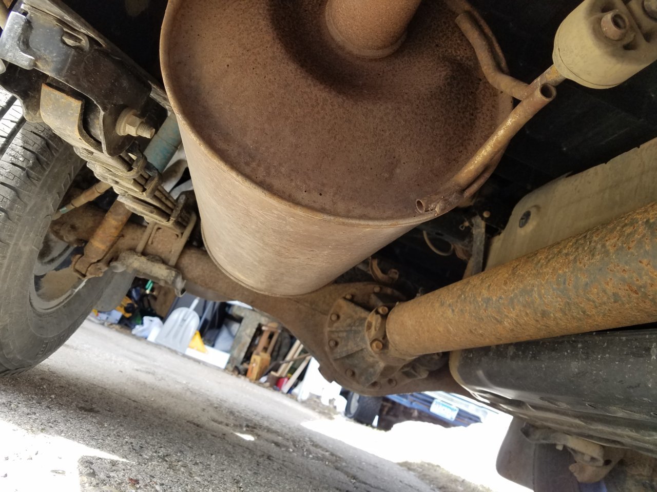 20190323_131255.jpg