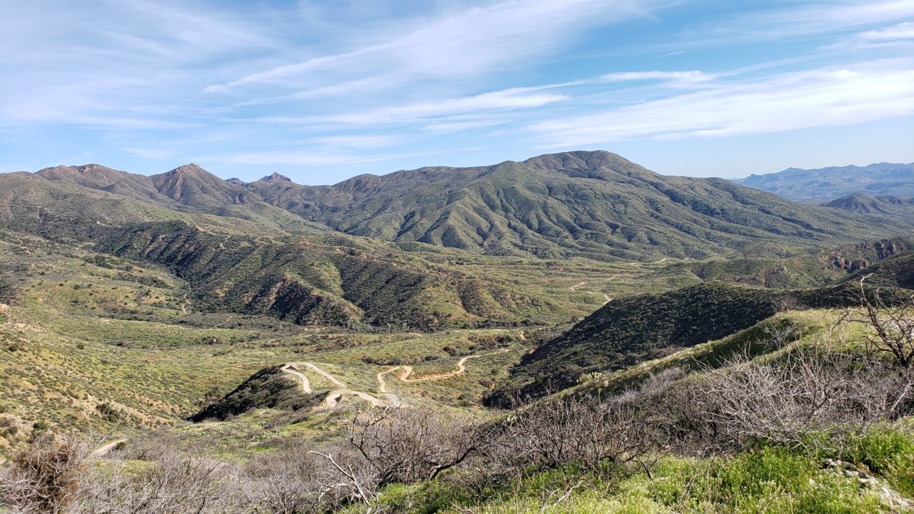 20190323_161441.jpg