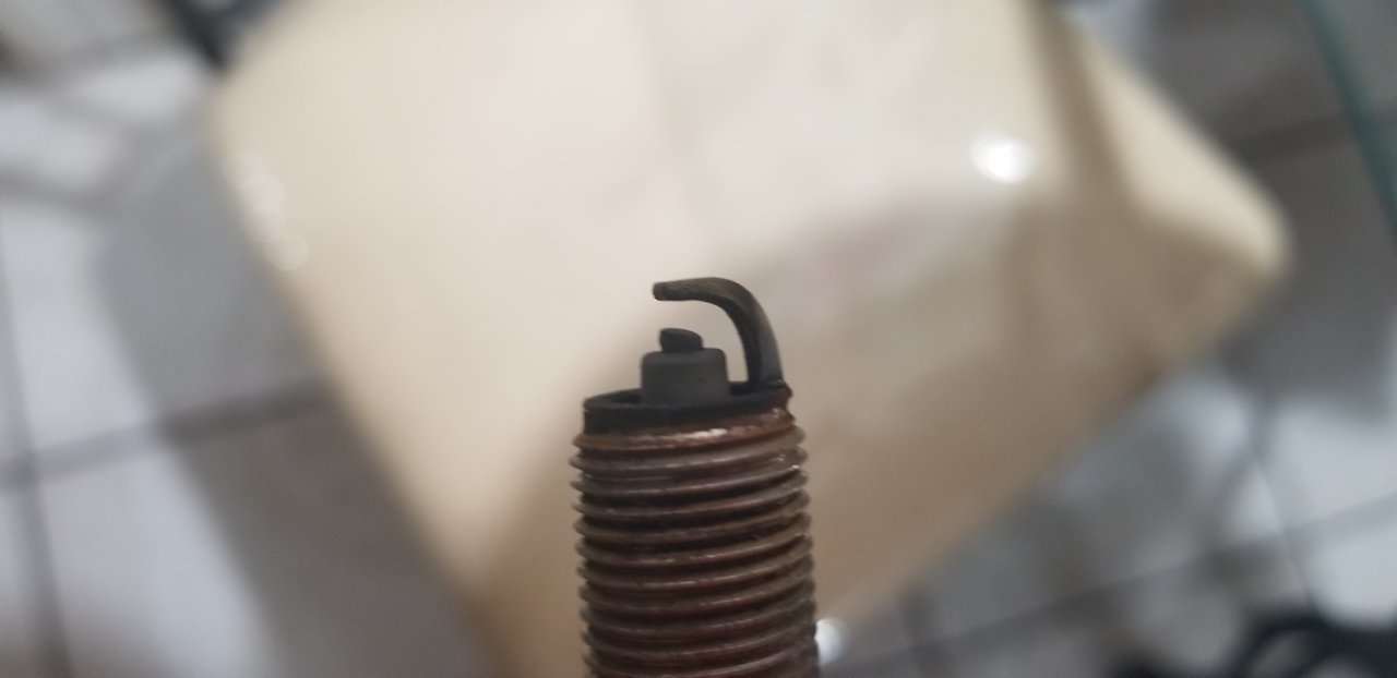 20190323_202401.jpg