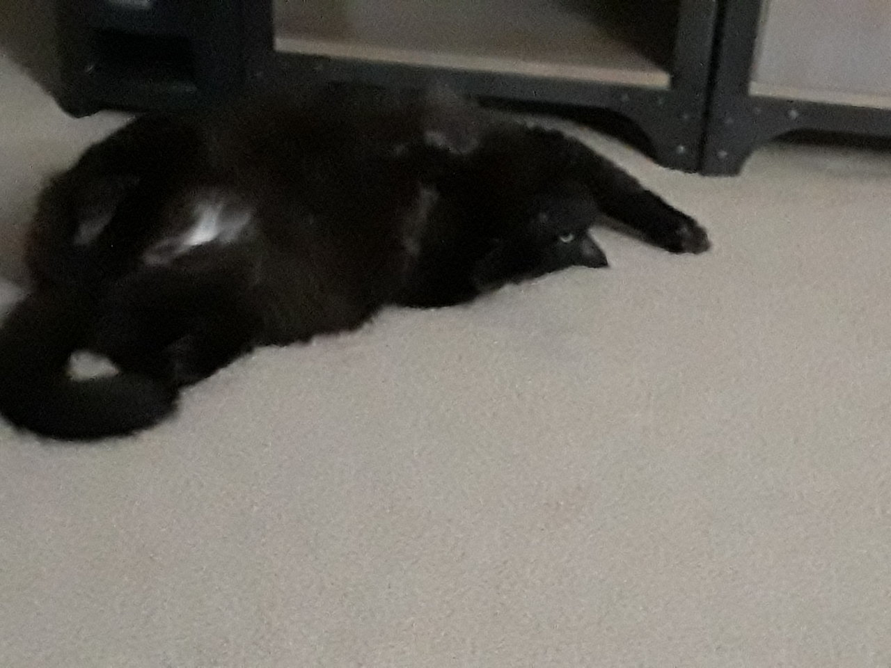 20190323_221517.jpg