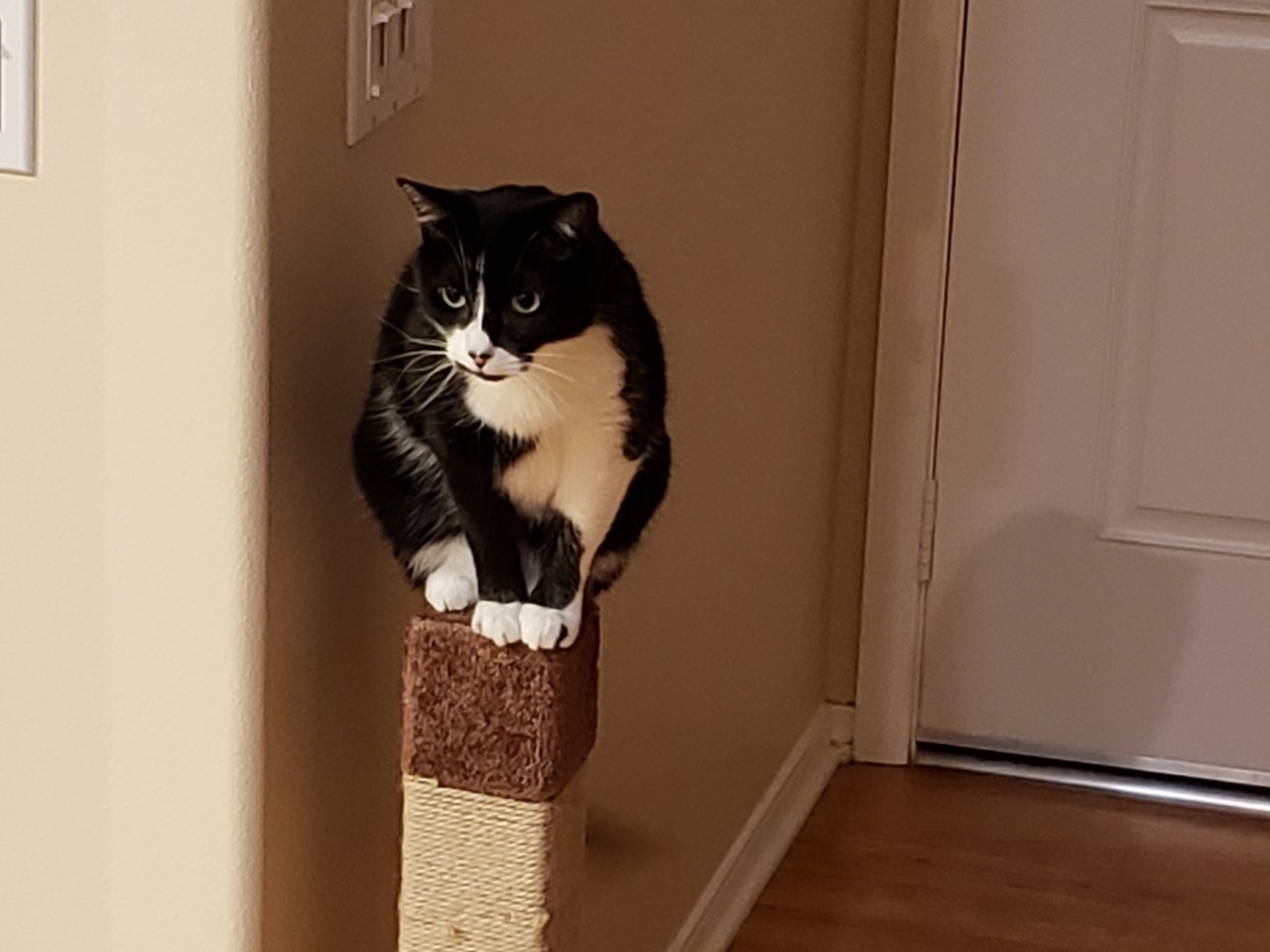 20190323_232827.jpg