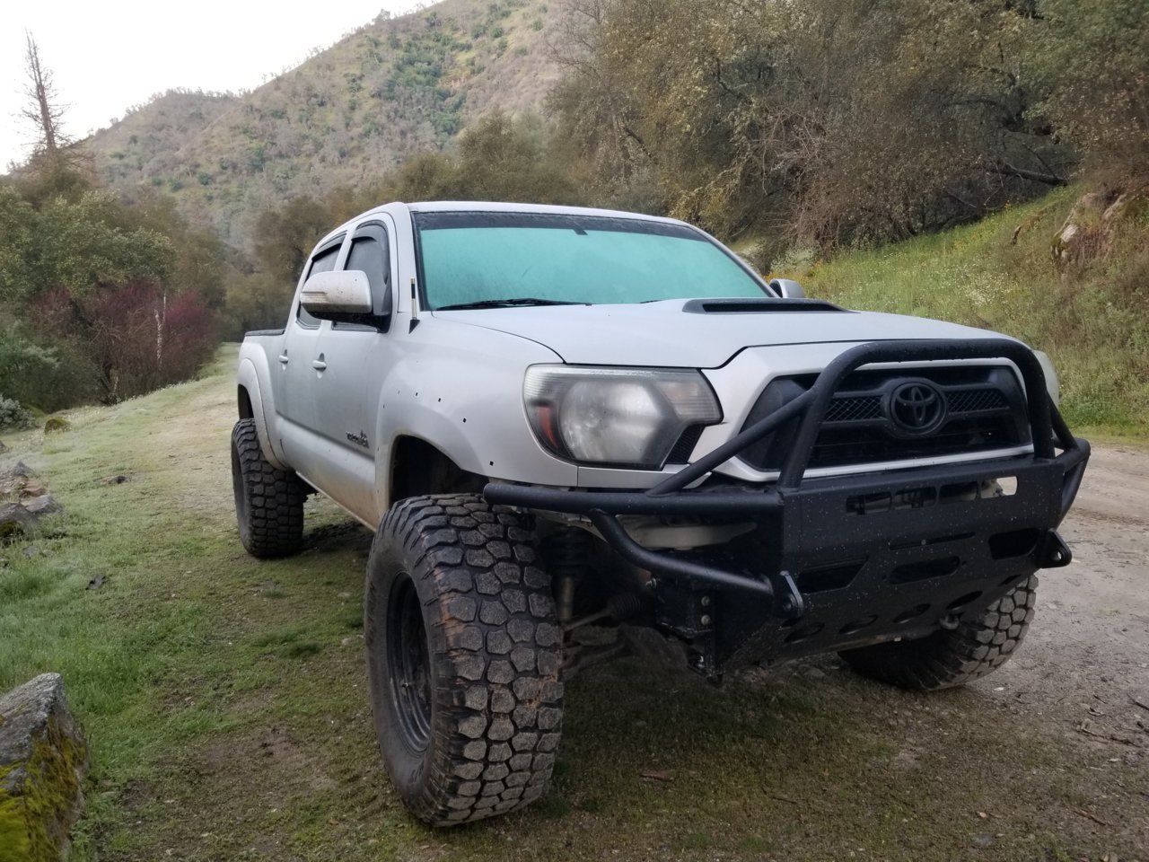 20190324_073412.jpg