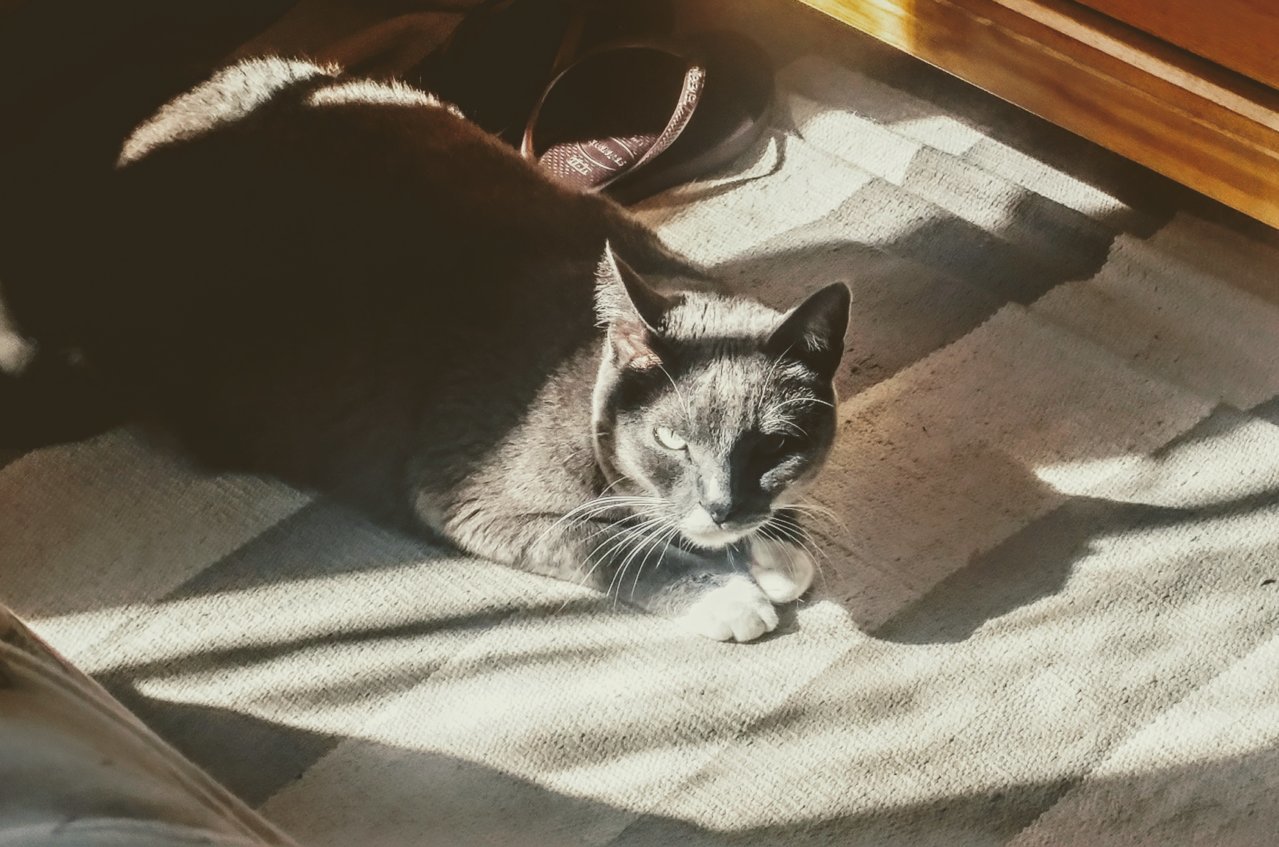 20190324_102447_HDR~2.jpg