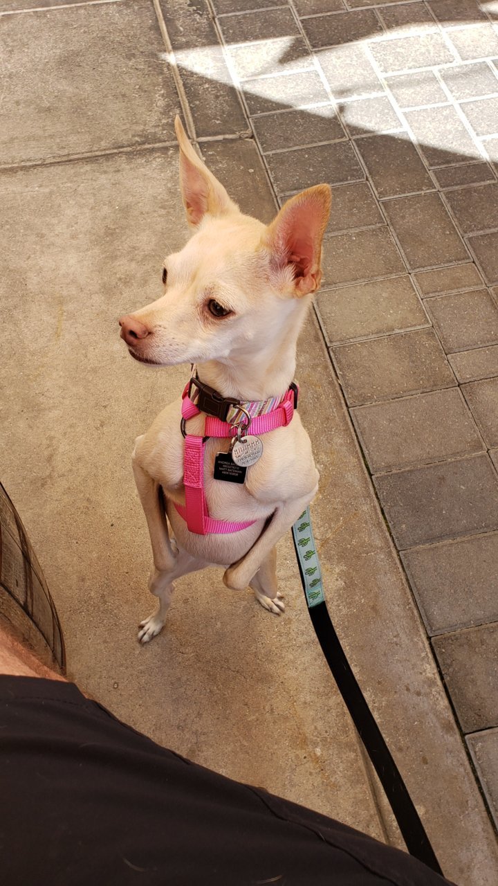 20190324_131743.jpg