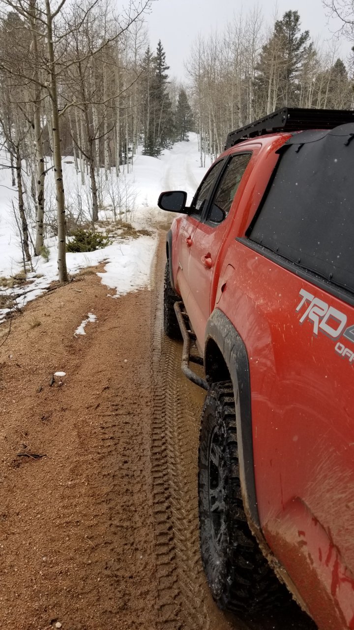 20190324_131841.jpg
