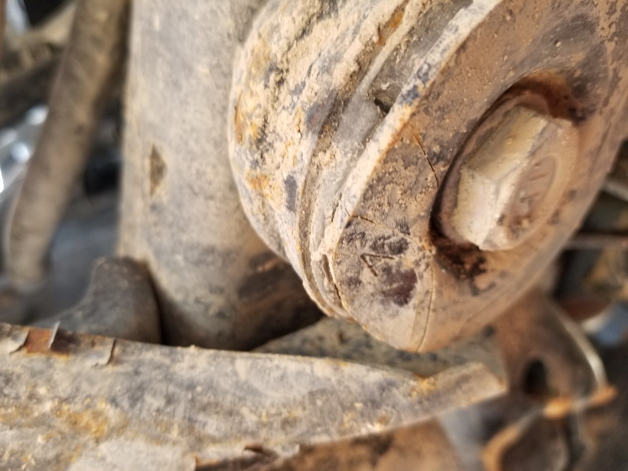 20190324_140919.jpg