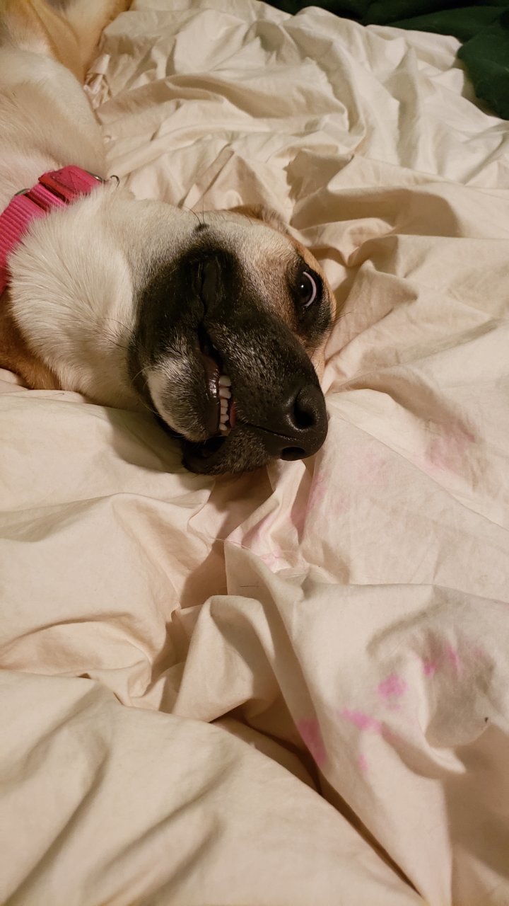 20190325_011856.jpg