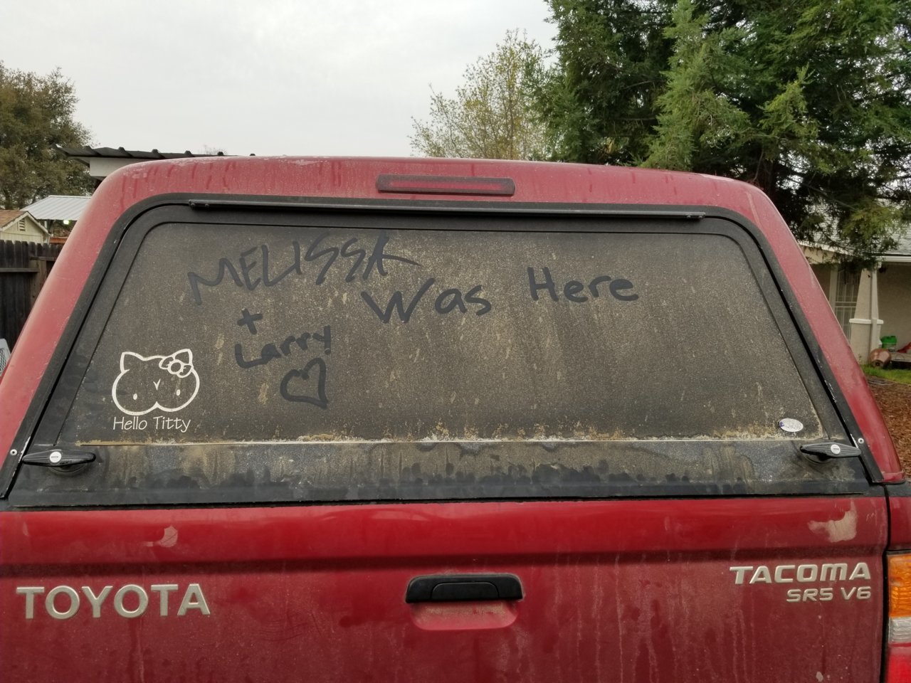 20190325_074700.jpg