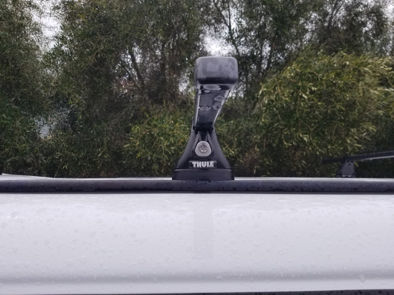 20190325_121026.jpg