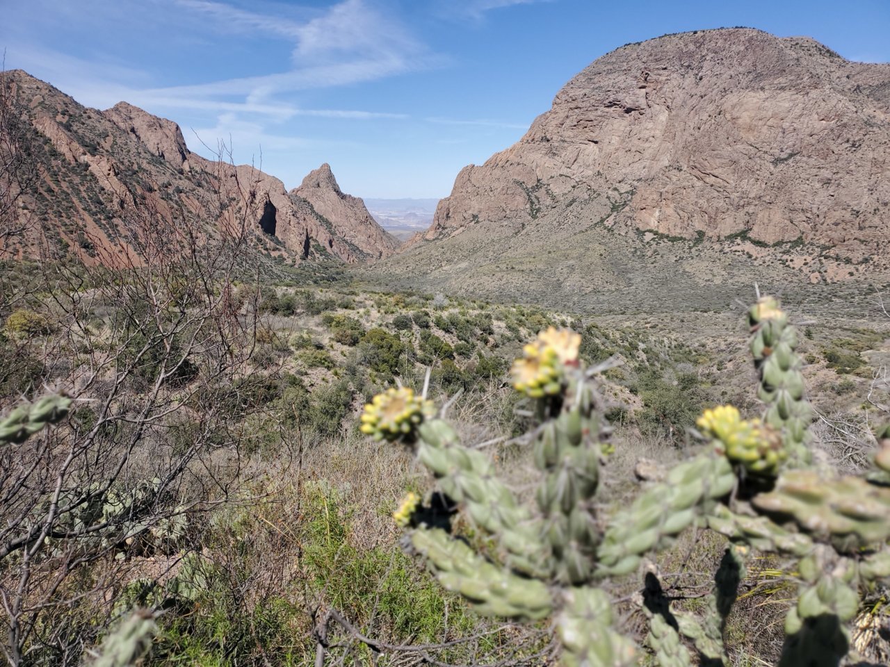 20190325_121231.jpg
