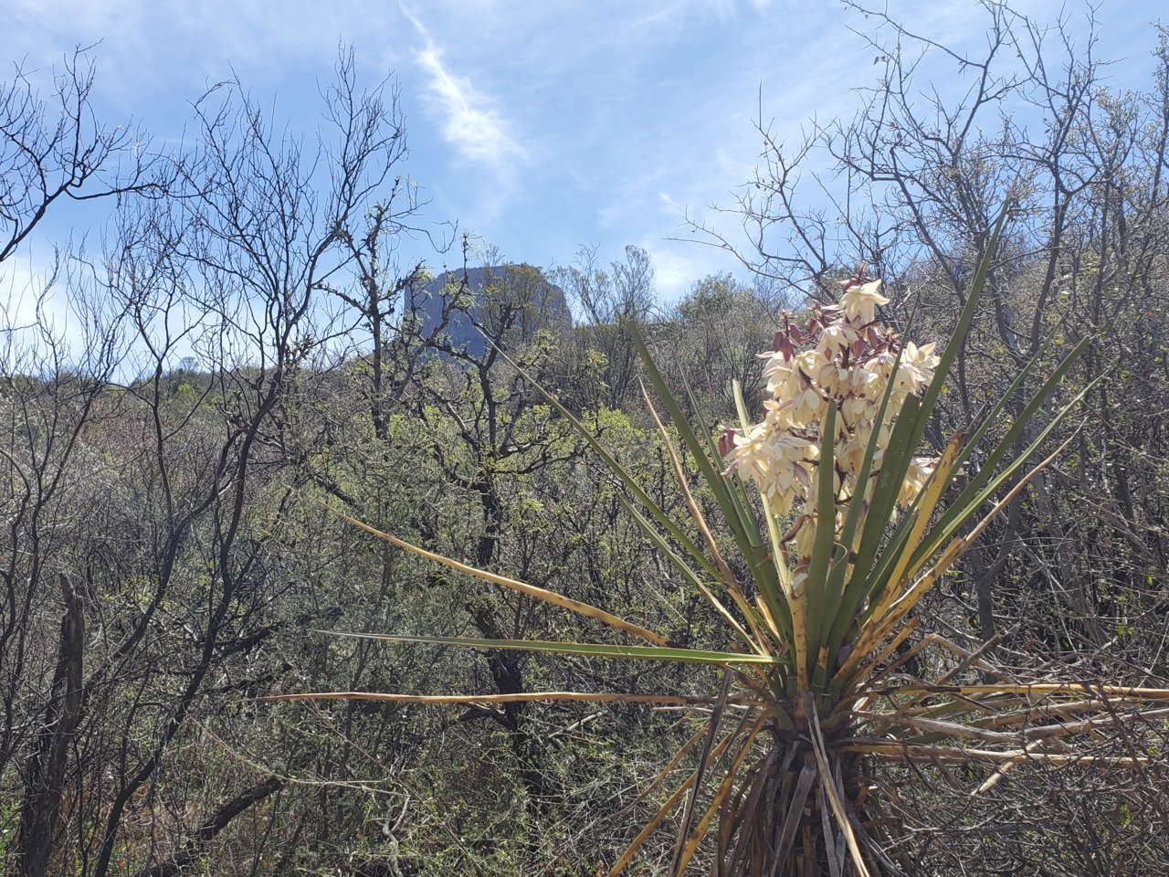 20190325_124558.jpg