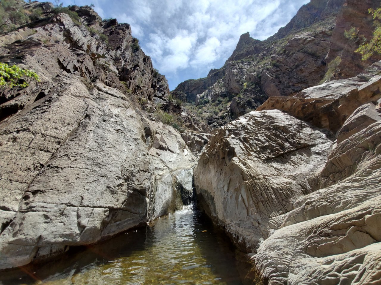 20190325_133734.jpg