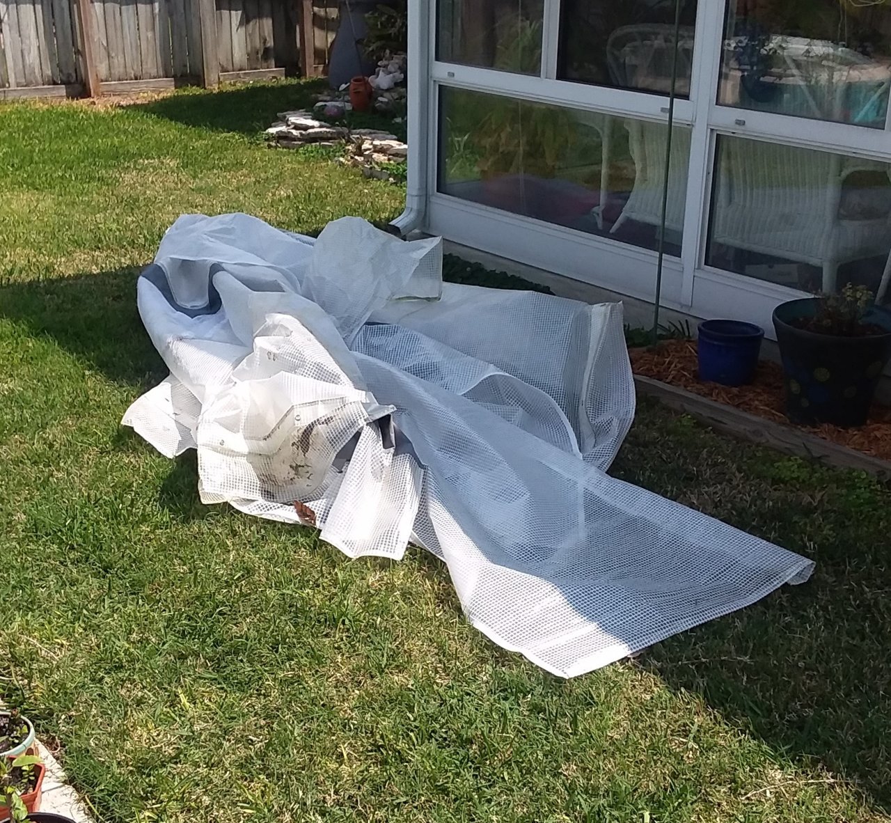 20190325_135805.jpg
