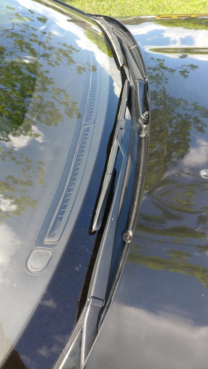 20190325_145545.jpg