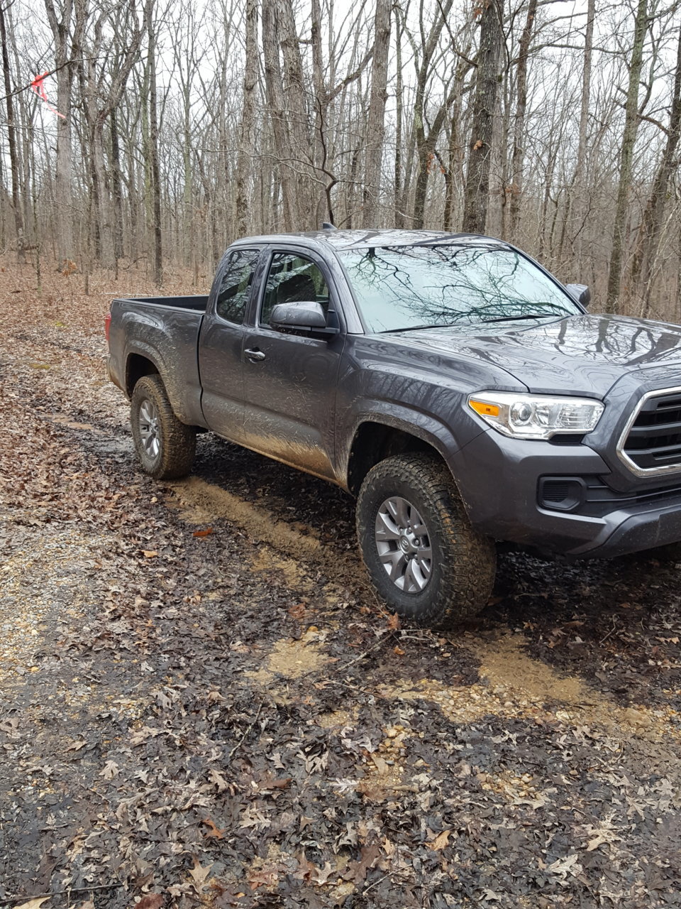 20190325_145933.jpg