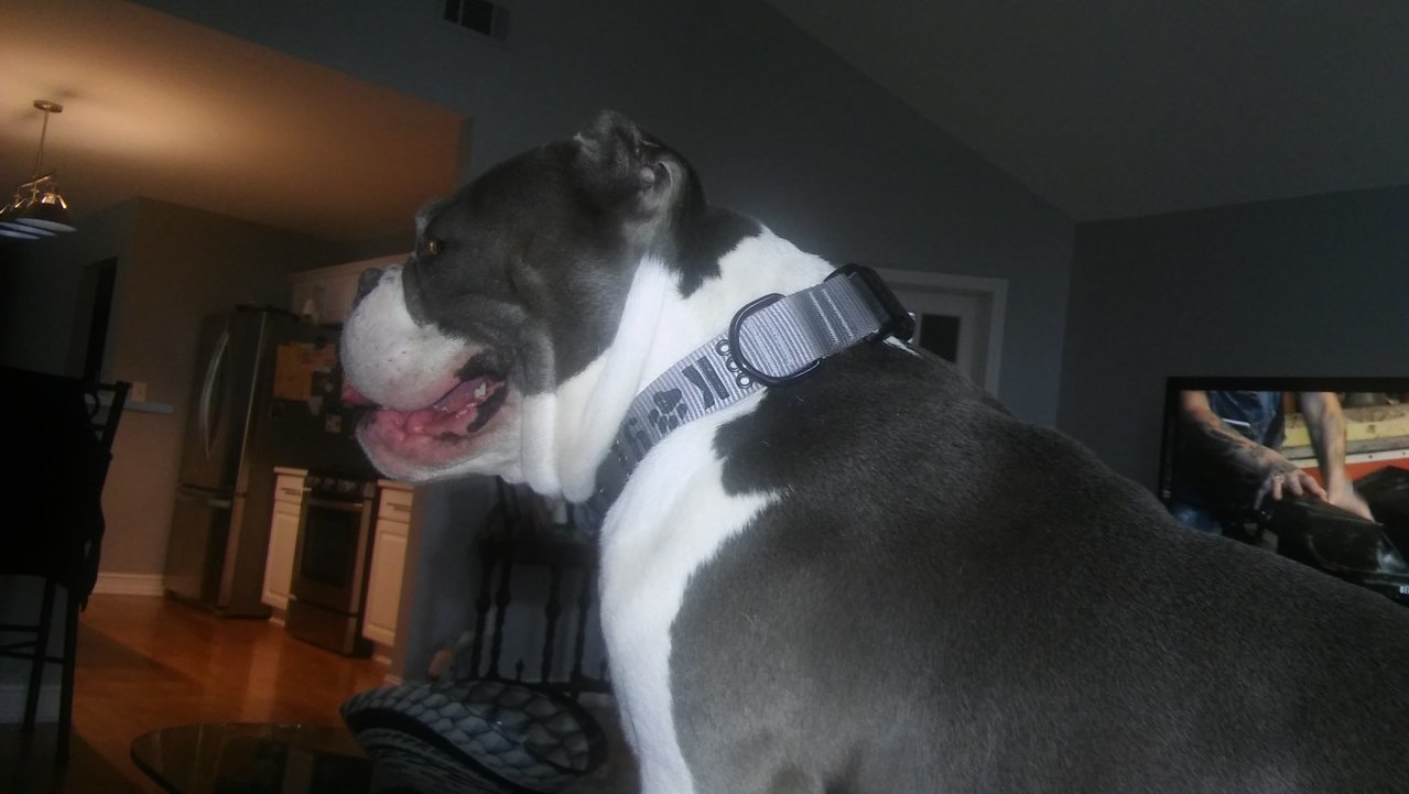 20190325_155828.jpg