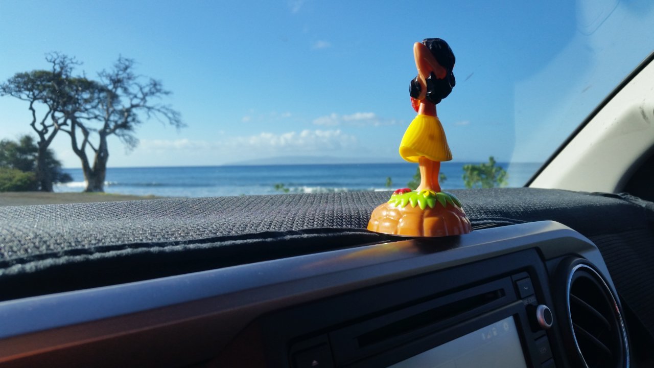 20190326_082115.jpg
