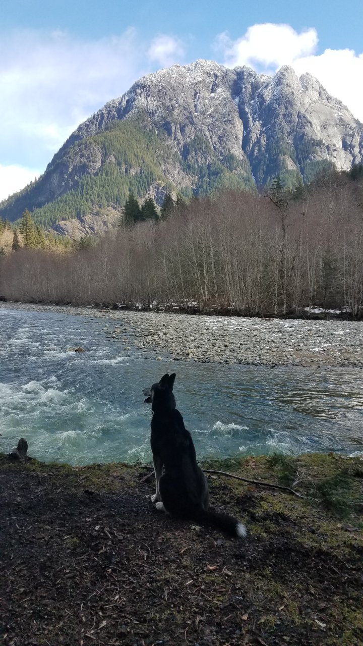 20190326_115322.jpg