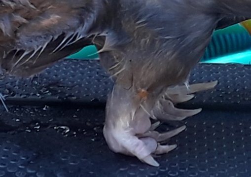 20190326_165420.jpg