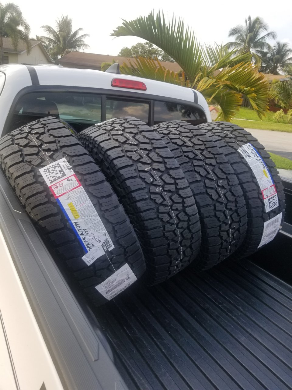 20190326_175545.jpg