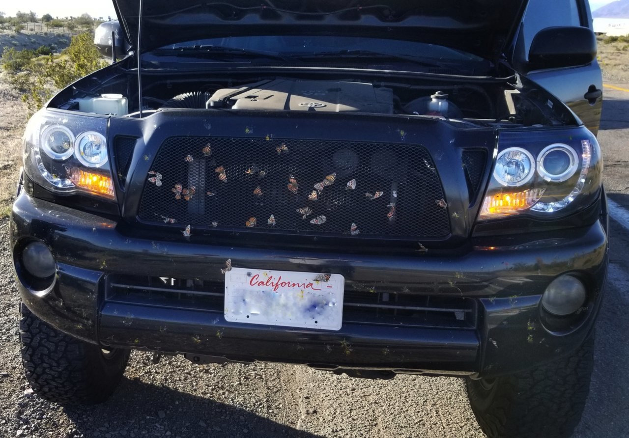 20190327_000722.jpg
