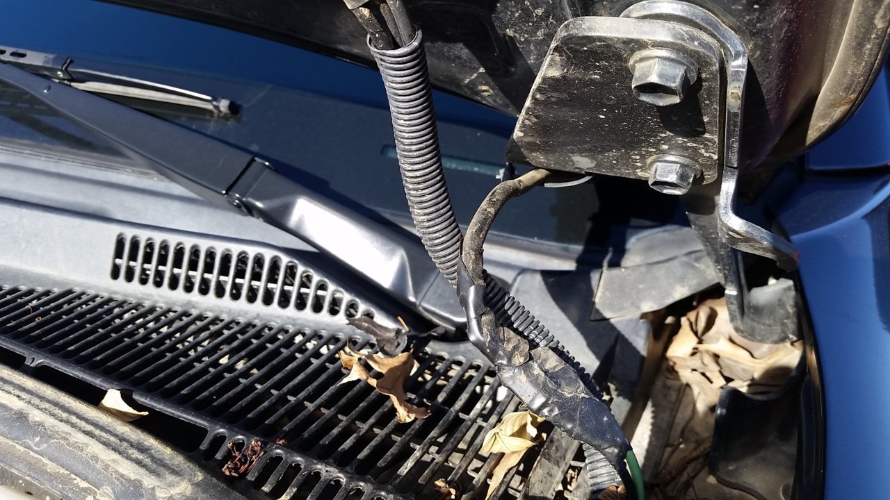 20190327_090350.jpg